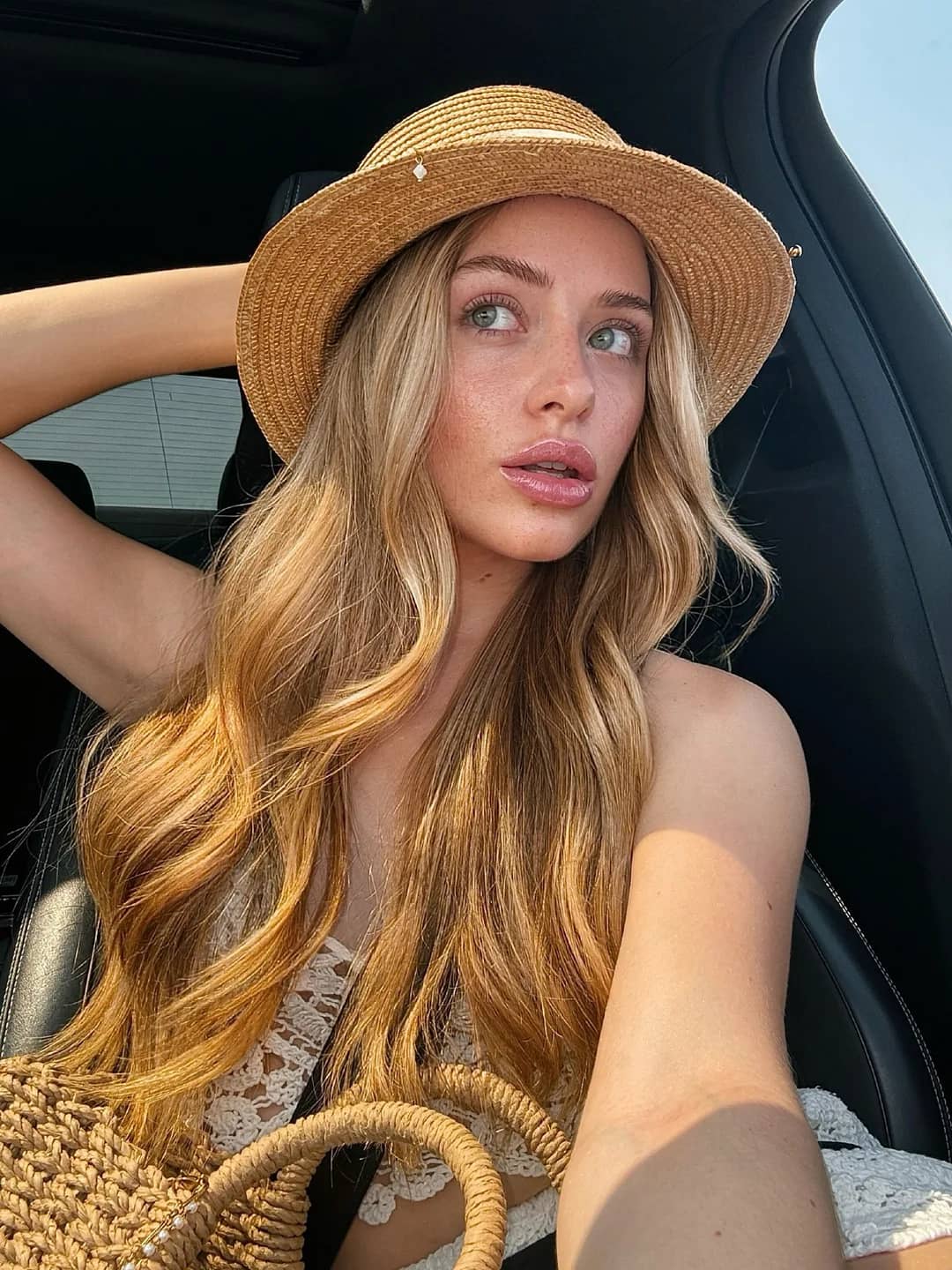 victoria3